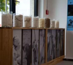 Behälter mit unterschiedlichen Produktinnenmaterialien